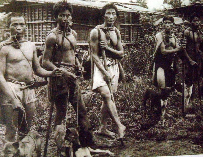 如果委託熟悉山林的原住民協助進行野生動物族群監測及調查，或許也是未來可行的方法。　By幽芳勝山- Public Domain