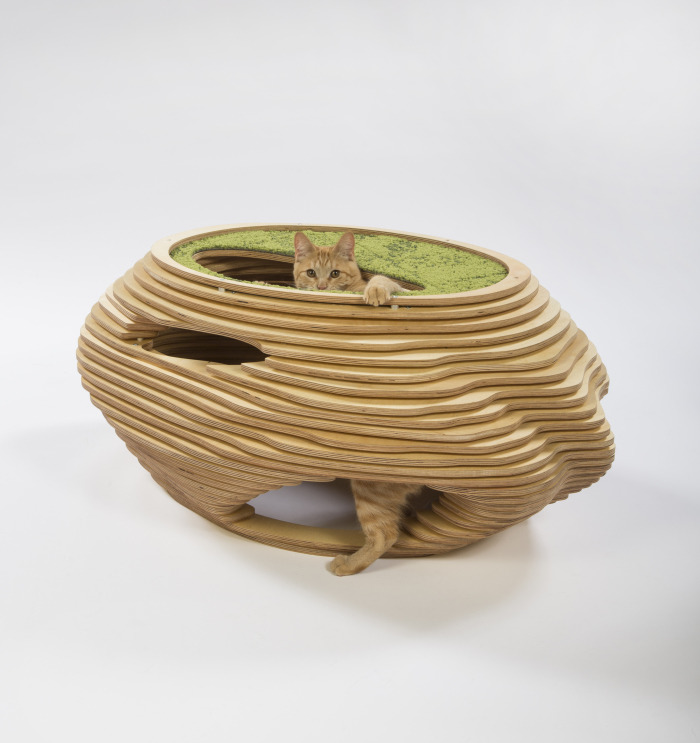 這款魚缸裡的貓咪造型超級可愛，也兼具編桌功能喔！   取自Architects for Animals