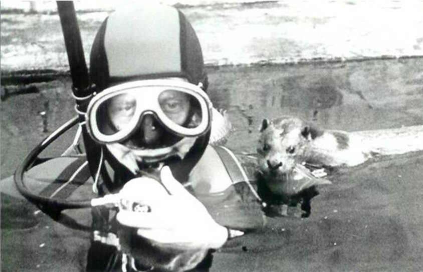 安迪在求學時期因為與水獺有了接觸,因而決定投入研究歐亞水獺的保育,他的貢獻也讓王室(Orange Nassau)封他為爵士。 取自otterspecialistgroup