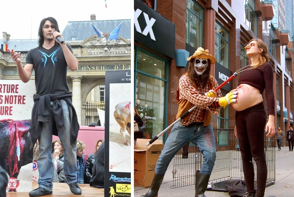 Maxime會出現在反鬥牛的活動上(左)，也曾現身譴責貓狗繁殖業者的行動劇(右)。 Maxime/提供