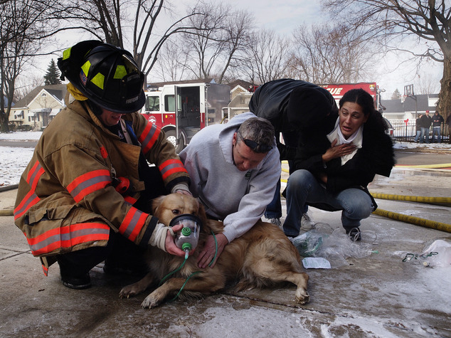俄亥俄州通過法令後，第一線的就護人員還會先向獸醫上課，獲取基本動物救助的相關知識。   翻攝自每日郵報