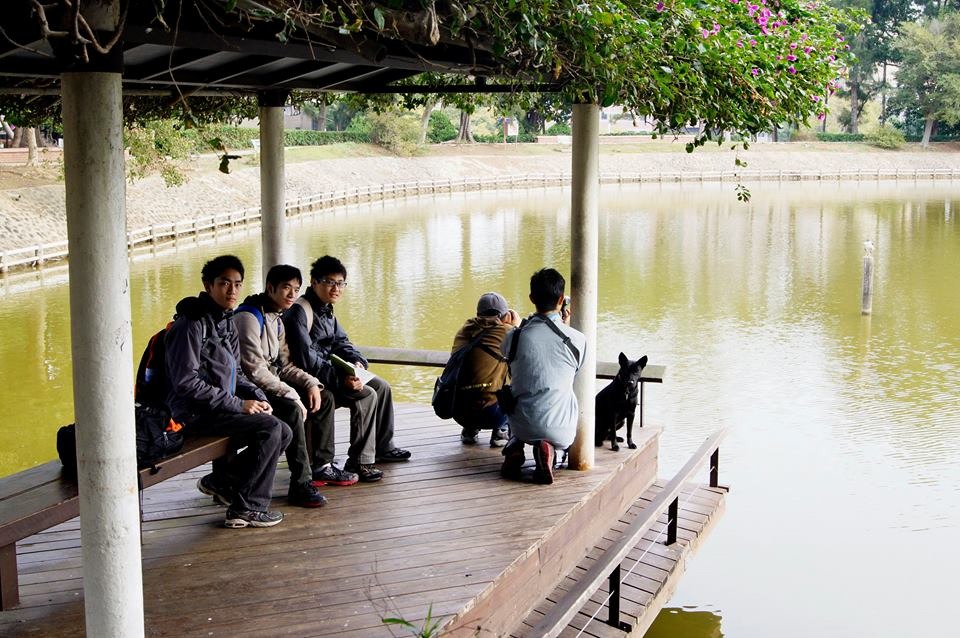 清大自然保育社也在校內及周遭地區響應調查。 Avi Chen/攝、取自新年數鳥揪團區