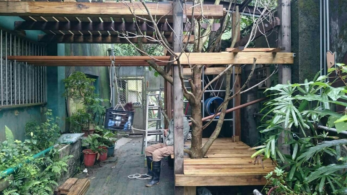 保育員利用颱風倒木設計的多功能體能訓練場！　台北動物園-CRC/攝