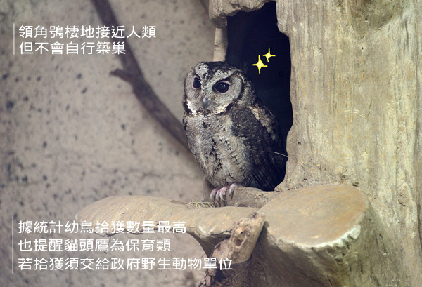 台北市立動物園-張庭瑜/攝