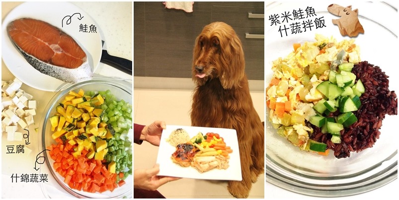 (圖中)馬克正在等待豐盛的年夜飯，(圖右、左)馬克、馬妞的正常版晚餐。　取自我是馬克我是馬妞大家好