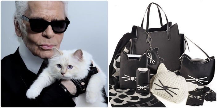 可愛的白色貓咪邱佩特深深擄獲老佛爺的心,甚至推出周邊商品。 取自網路