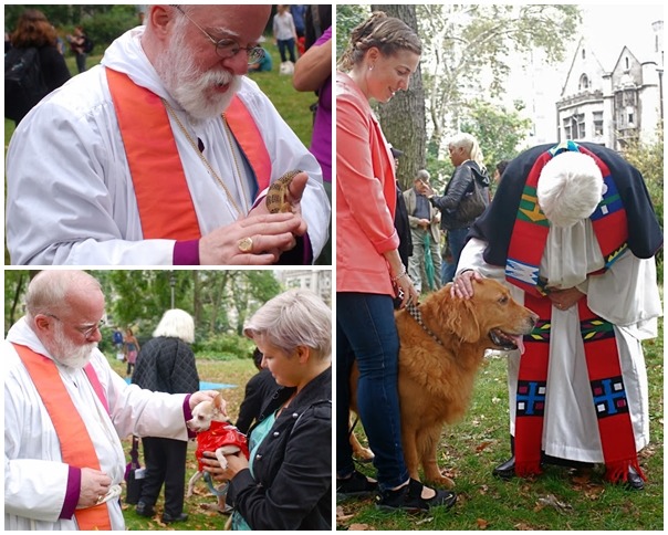 紐約的聖約翰大教堂每年都會替各式各樣的動物祈福! 取自NYC loves NYC