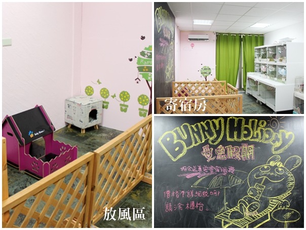 愛兔協會近期將推出愛兔假期寄宿服務囉！　何宜/攝