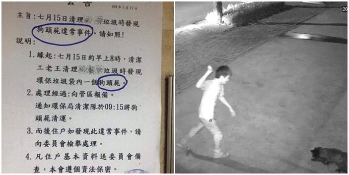 台北市民生社區某大樓傳出垃圾袋裝有狗頭屍，但監視器畫面並無拍到可疑畫面，新北市則發生男子朝浪犬丟雞蛋，清楚被監視器拍下，也因此追查到犯案人。　(左圖)擷取自臉書、(右圖)新北市動保處/提供