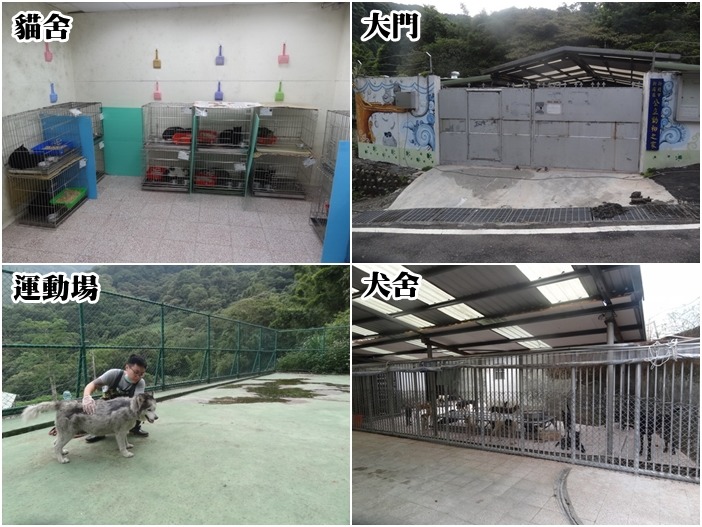 新店動物之家地處偏遠，目前犬舍分為公犬犬區、還有貓舍、運動場等設施，未來修繕工程交由大眾一同參與。　新北市動保處/提供