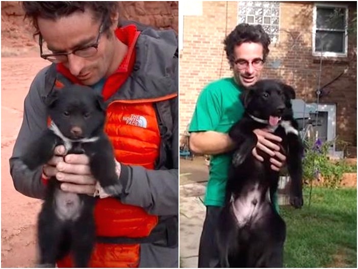 Sufferpup小時候跟長大一樣可愛，而且胸前的毛白讓他看起來就像小小台灣黑熊！　擷取自影片