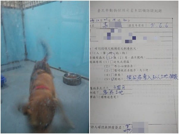 莊先生在收容所找到阿財，在認領訪談表中寫道捕狗隊進入自家土地捕捉。　莊先生/提供