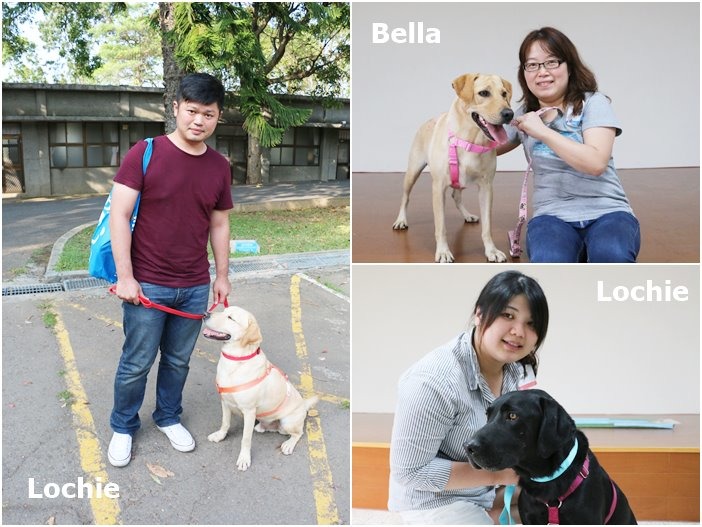 3隻退訓犬都找到合適的新家庭囉~~~(左圖狗狗為Oscar,圖片誤植為Lochie) 何宜/攝