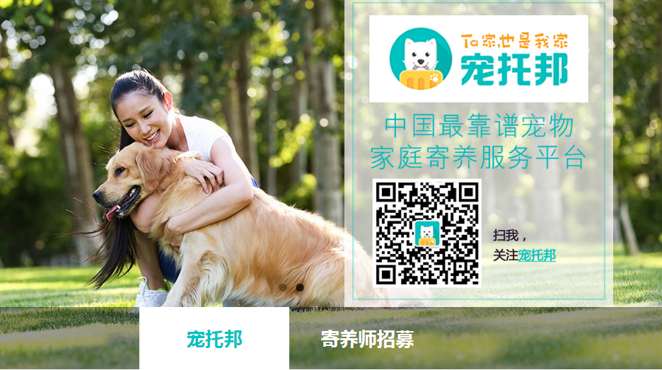 大陸春運來臨，許多飼主又擔心寵物寄養問題，於是狗民網推出全新「寵托邦」平台，提供O2O模式的寵物寄養服務。　翻攝自狗民網