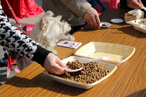 食安風波不斷，讓人「食」在難安，也讓飼主對於寵物的食品安全也不敢懈怠，好在今年動保法已將寵物食安納入規範。　台灣動物新聞網資料照（江幸芸/攝）