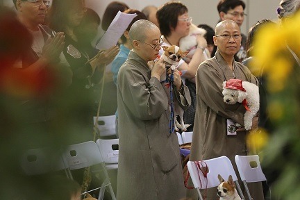 法師正在替寵物舉行「甘露灌頂皈依」儀式。　取自香港寵物展官網