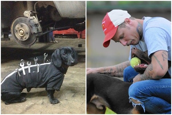 狗狗不只是人類最好的朋友，牠們還會無私的提供幫助、更會和人類一同成長。　取自Boredpanda, SunSentinel