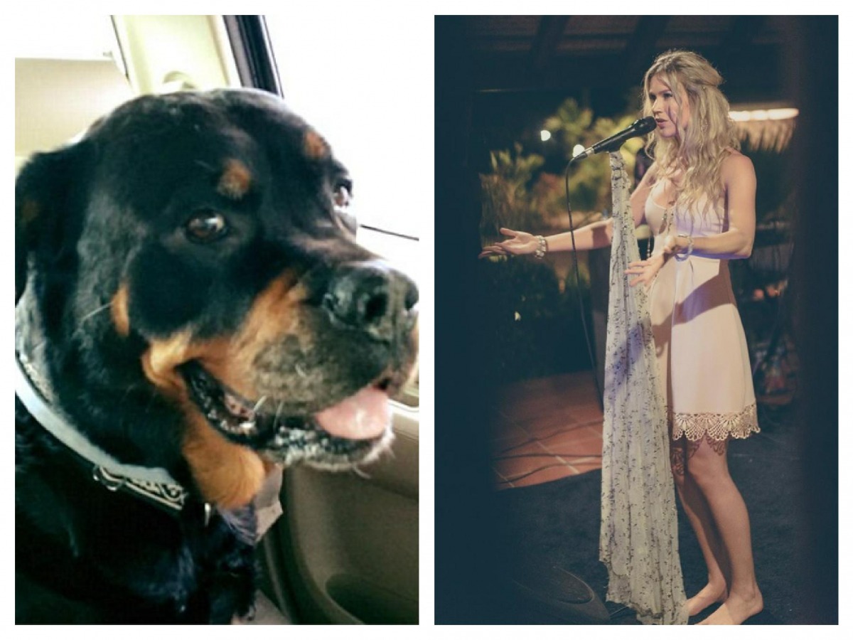 英國著名靈魂樂歌手喬絲史東,為了突然生病的愛犬暫停了世界巡迴演唱會。 取自Joss Stone FB