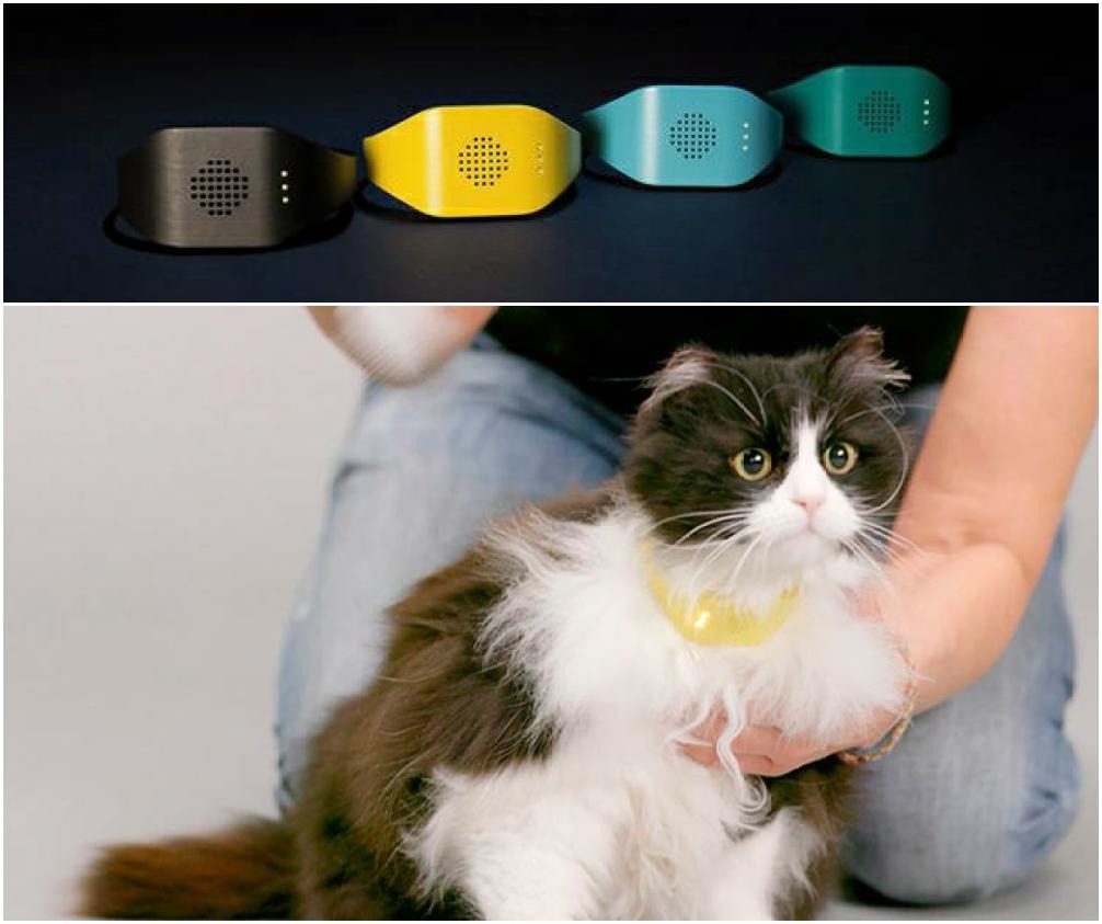 能夠翻譯貓語的項圈，模型已經在英國及紐西蘭推出！   取自Catterbox