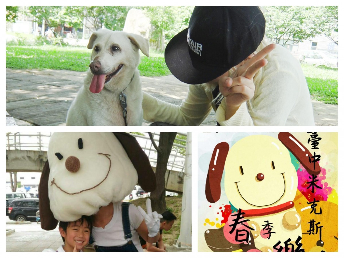 台中市動保處的獸醫柯文卉，利用自己畫畫的興趣製作了許多景美的活動海報。   柯文卉、台中動保處/提供