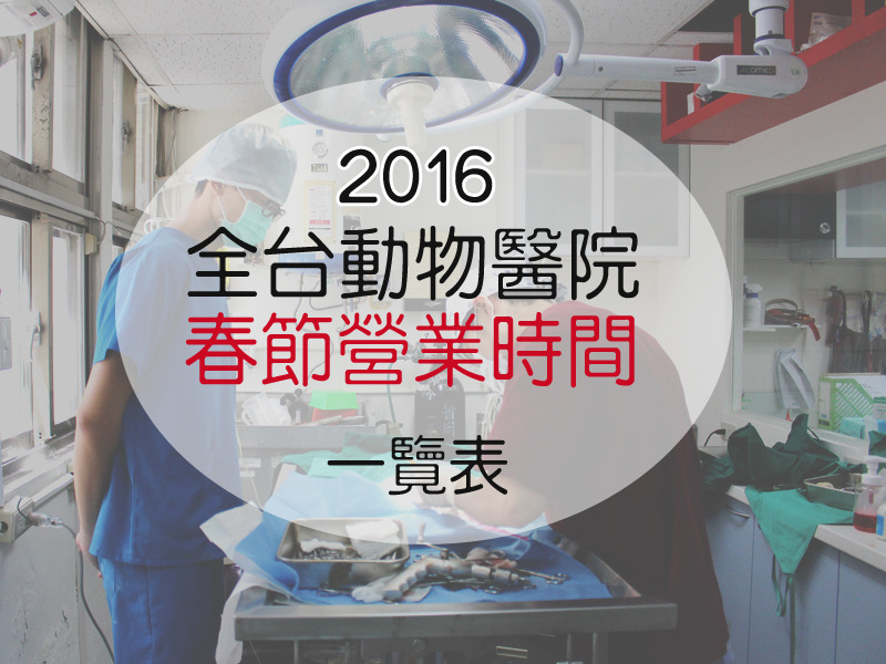 春節期間各縣市有哪些動物醫院不打烊？台灣動物新聞網幫你整理好了！　李娉婷/攝