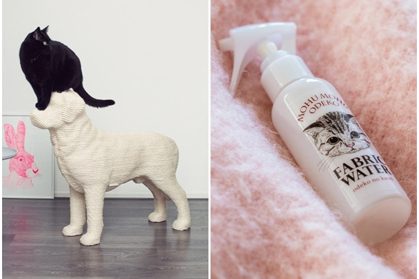 荷蘭設計師推出高價狗形抓板(左圖)、日本購物網站則研發貓咪額頭芳香噴霧(右圖)！　取自官網