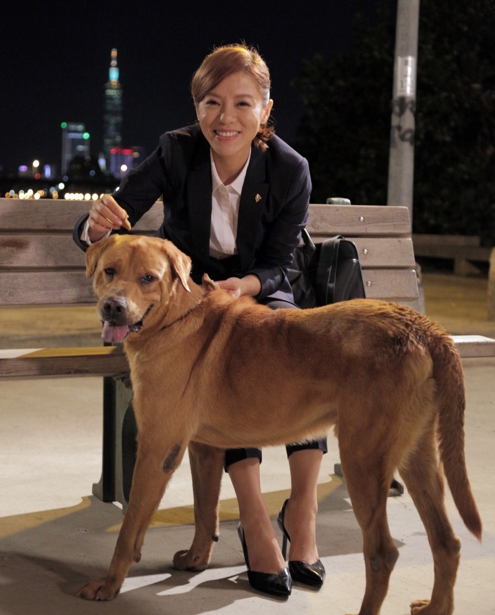 拜倒在丁噹文柔攻勢下的狗狗大黃,成為影片中最搶鏡的角色! 三商美邦人壽/提供