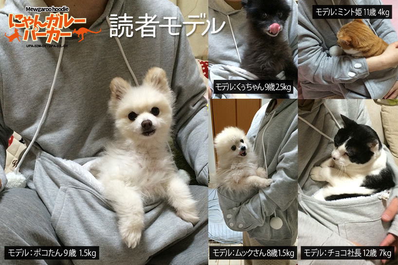 讀者試用，連7公斤的貓照樣可以輕鬆進袋！　取自Unihabitat