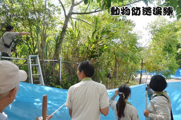 工作人員需要戴帆布、捕捉工具、保護自己的工具等,在最快的速度下趕到動物逃脫的事發地點。 台北動物園-李毓文/攝