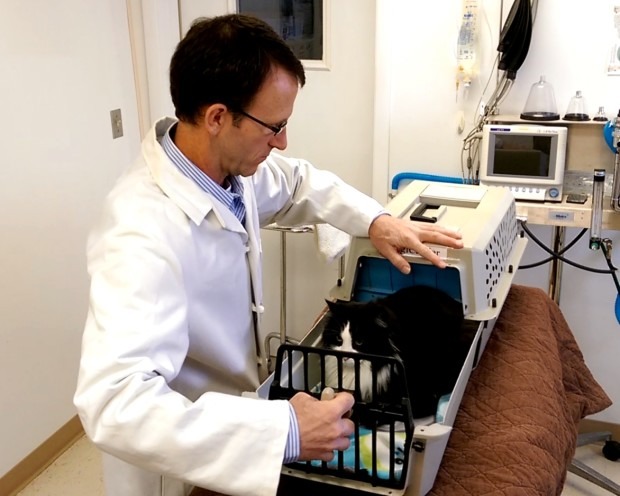 獸醫奈特在募資影片中示範如何花費不到3秒鐘就讓貓咪出到籠子外面。 取自indiegogo