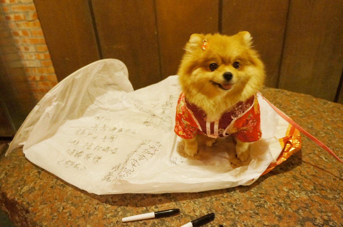 第三名作品—<扉頁>妳生命裡的每一天 都是我生命裡的每一頁