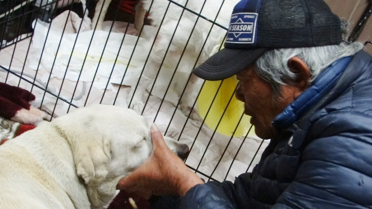 老先生到了動物醫院，便對精神不振的妞妞喊話，鼓勵牠要趕快好起來。　王小華/提供