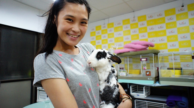 第三棒的嘉義兔友芝芝，今天下午將「大隊接力」帶到了愛兔協會，希望大隊接力未來能找到幸福的家！　愛兔協會/提供
