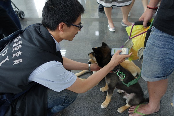 台北市動保處會不定時在公園綠地或活動會場稽查。　台灣動物新聞網資料照（台北市動保處/提供）