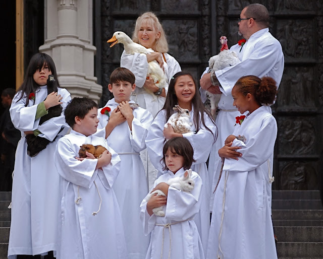 每個人手上都抱著一隻動物,有蜥蜴、鴨子、鵝、火雞、兔子跟天竺鼠等等。 取自NYC loves NYC