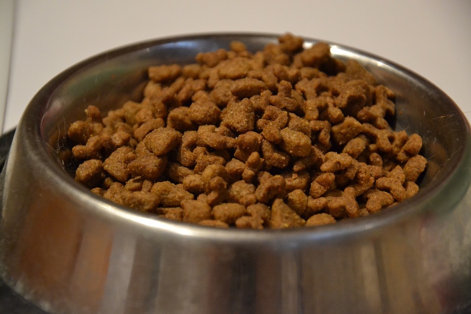 從飼料營養比例及成分表當中，就可以大約掌握飼料的品質好壞！　取自pixabay free image