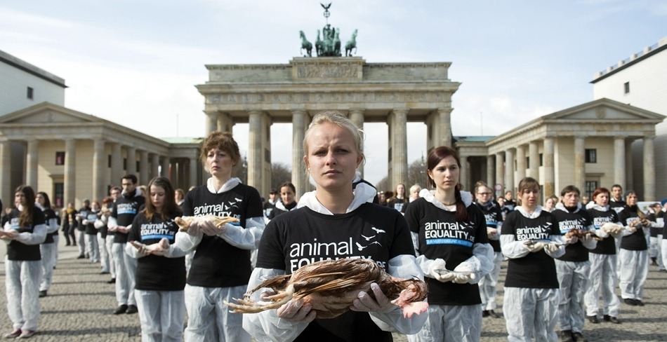 德國柏林，動物平等組織正在進行示威抗議。 取自網路