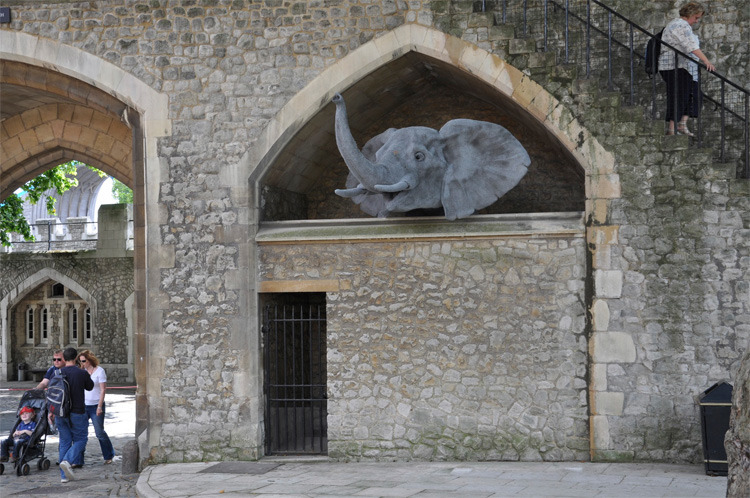 本該在草原上自由生活的大象,被豢養在水泥城堡中度過餘生。 取自Kendra Haste臉書