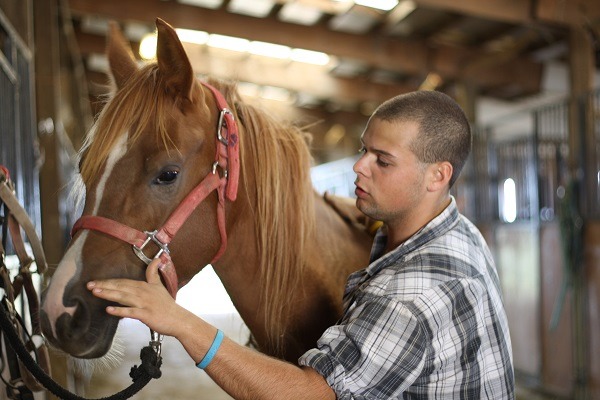 以往大家較熟悉用馬匹來進行肢體復健,不過目前也被用來治療毒品或酒精成癮的患者。 取自24houraddictionhelp.org