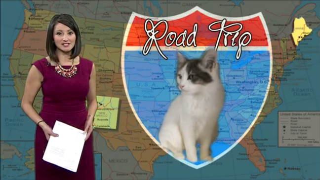 辣妹的神秘之旅，引起大家的好奇，推測可能是搭上了長途火車，但真相為何？可能只有辣妹心裡知道。　取自KRQE NEWS 13