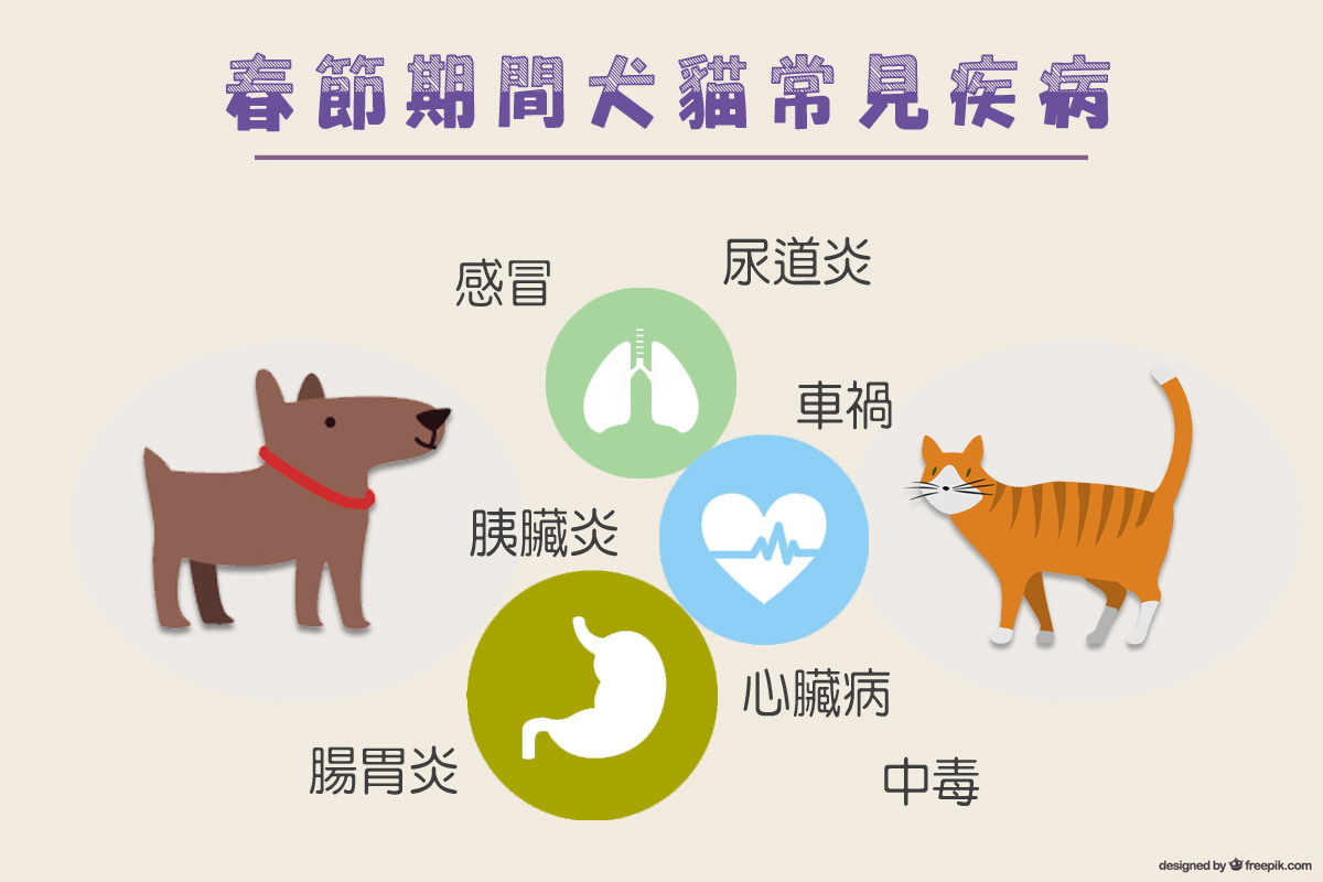 犬貓常見的疾病飼主可以透過預防來避免發生! 何宜/製圖
