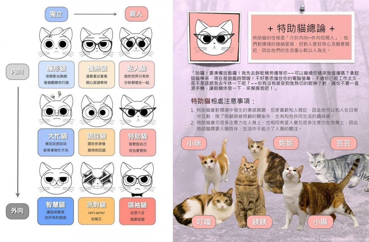 貓咪九大個性，最適合你的是哪一型？來展場做心理測驗就會知道囉！而這個表單及問卷都是友善星球協會執行長周瑾珊設計的。　取自貓蘿星臉書