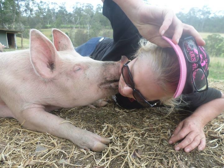 費歐娜每天都會花相當長的時間陪伴農場裡收容的動物們，希望讓牠們感受到人類的善意、關愛。　取自onegreenplanet