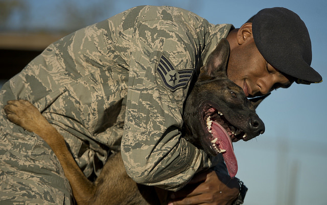 「有你就夠了！」「少噁心了～走開！」　FLICKR_Airman Magazine