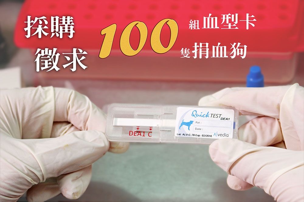 建置寵物血庫之前，所有的飼主應該先具備寵物捐輸血的正確觀念。　何宜/攝