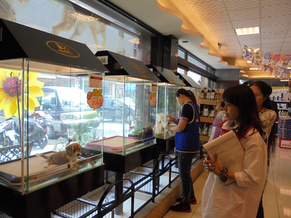 綜觀全台各縣市動保自治條例大方向類似，但仍有許多因地制宜之處。   取自高雄市動保處