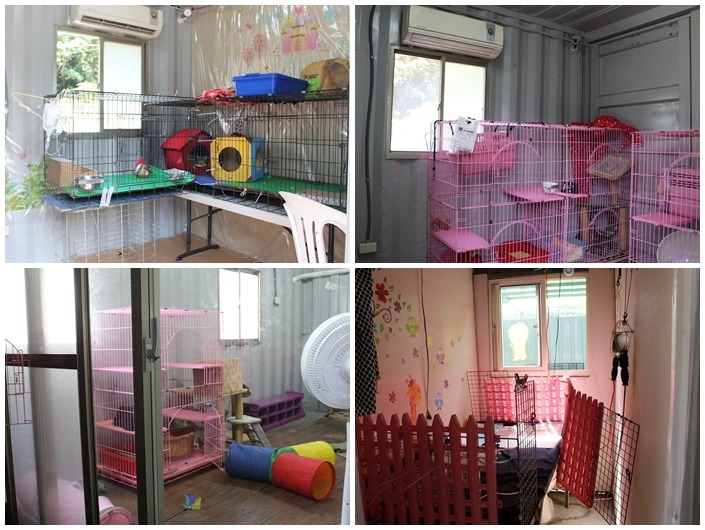 (左上)目前是給一隻患有傳染性腹膜炎的貓住、(右上)給愛滋貓的單獨病房、(左下)開放空間的大貓房、(右下)安寧房。　何宜/攝