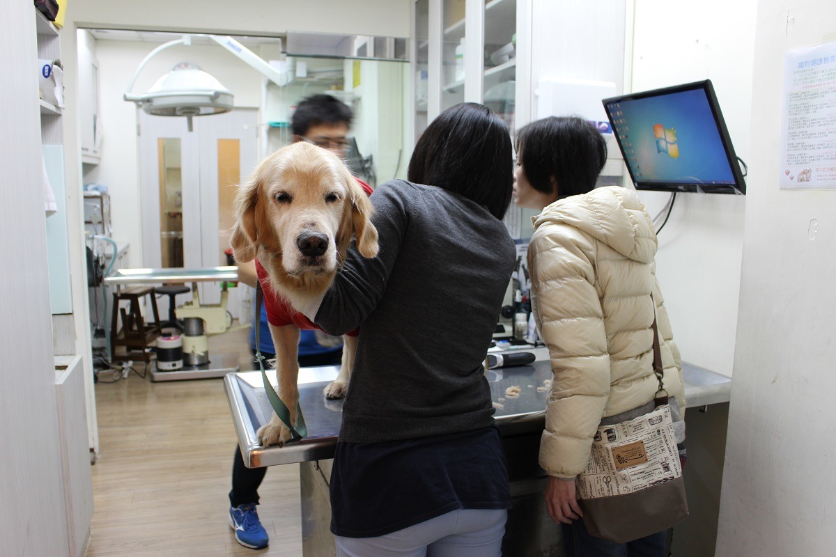 飼主帶寵物就醫時，獸醫會告知飼主或伴同者使得收費，飼主也可以索取收費明細，或是如果需要轉診則需要付費購買診斷證明書。　示意圖（何宜/攝）