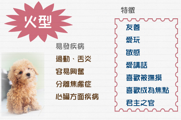 資料/謝旻莉、製圖/何宜、圖片/取自網路