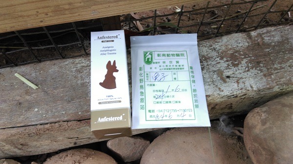 受傷兔子的就醫紀錄。　彰化縣防疫所/提供